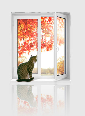 Katze am Fenster - Mehrscheiben-Isolierglasfenster